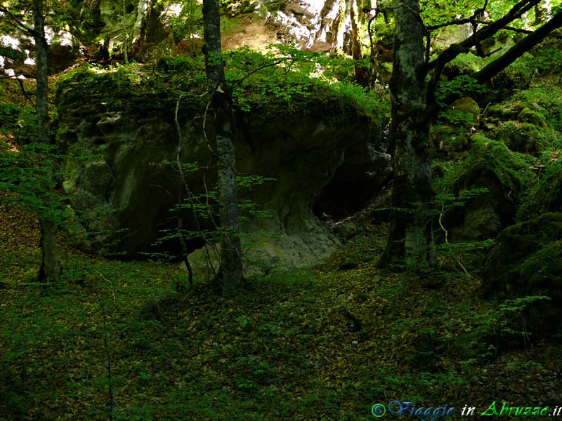 21_P1040077+.jpg - 21_P1040077+.jpg - Il meraviglioso angolo di un bosco lungo i sentieri naturalistici del Parco.