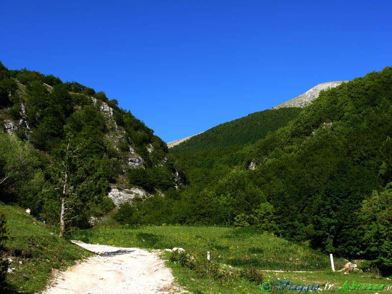 28_P1040083+.jpg - 28_P1040083+.jpg - Sentieri naturalistici nel Parco Nazionale d'Abruzzo.