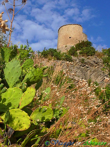 35-P1280773+.jpg - 35-P1280773+.jpg - Una delle torri del castello di Roccascalegna.