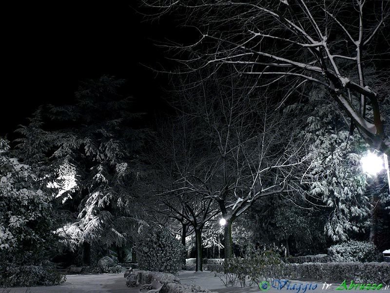 17-P1100836+.jpg - 17-P1100836+.jpg - Una suggestiva immagine notturna della Villa Comunale imbiancata di neve.