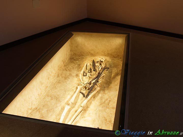 08-PC270553+.jpg - 08-PC270553+.jpg - Sezione protostorica: esposizione della sepoltura maschile proveniente dalla necropoli atriana di Pretara.