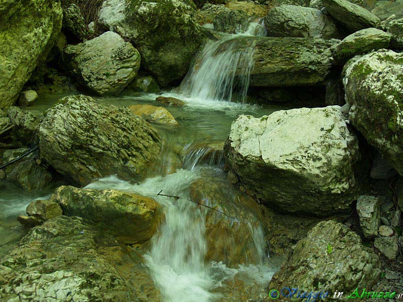 23-P6078605+.jpg - 23-P6078605+.jpg - Piccole cascate lungo il percorso di un torrente che scende, fragoroso, tra i boschi a monte di Tossicia.